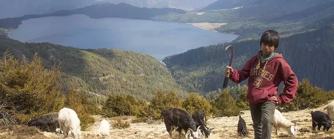 rara_lake_trek_nepal