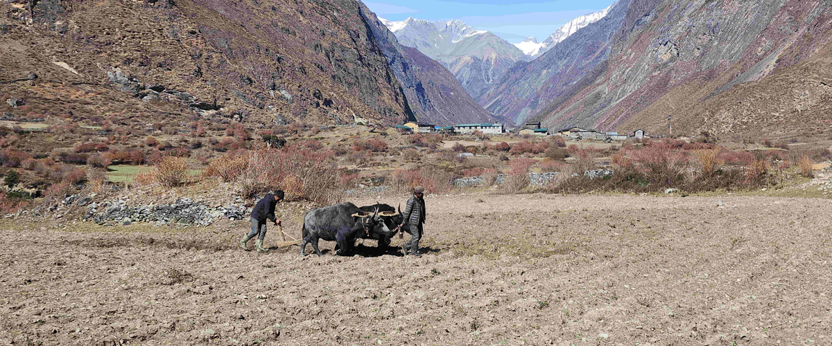 tsum_valley_trek_nepal